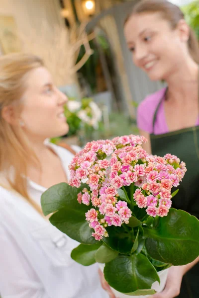 Floristería con uno de sus clientes — Foto de Stock