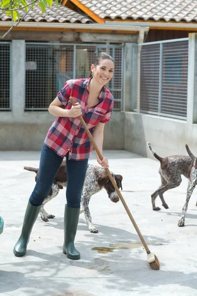 犬小屋のアシスタントの洗浄時間 — ストック写真