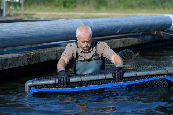 Alter Mann, der auf einer Fischfarm arbeitet — Stockfoto