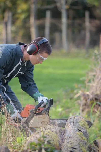 Man zagen via boom met kettingzaag — Stockfoto