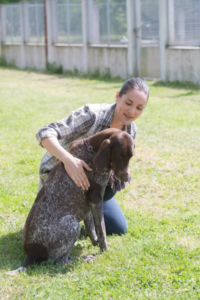 猎狐犬享受水的运动图片 — 图库照片