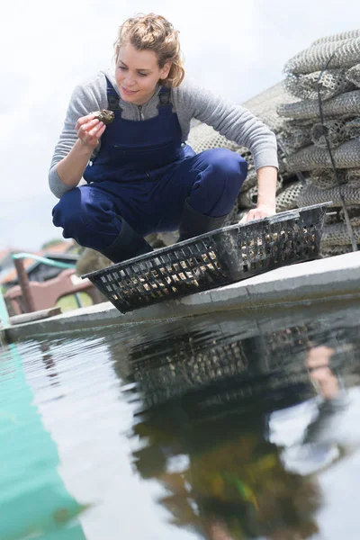 Žena chytil ústřice z fishfarm — Stock fotografie