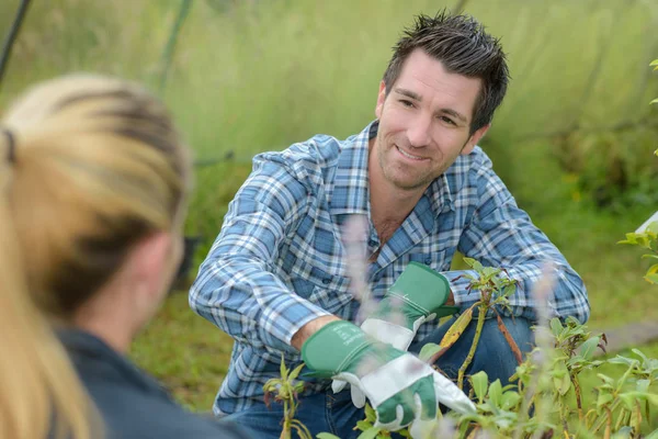 Growing your own vegetables — Stock Photo, Image