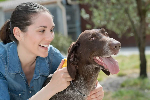 Tierärztin streichelt Hund im Tierheim — Stockfoto