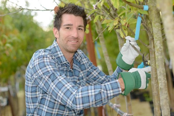 Trädgårdsmästare som arbetar utomhus och arbete — Stockfoto