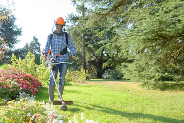 Trimmen van het gras en de tuin — Stockfoto