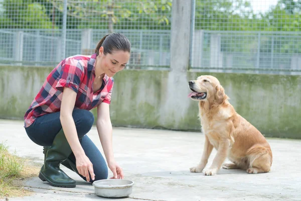 专用的女孩训练狗在狗窝 — 图库照片