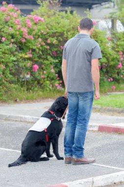 dog trainer and his dog clipart