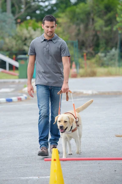 Perro de servicio y hombre —  Fotos de Stock