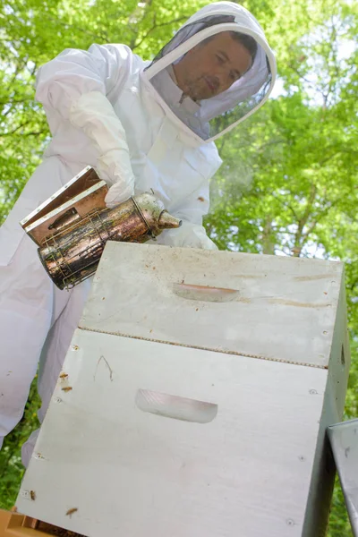 Apicultor con fumador y abeja — Foto de Stock