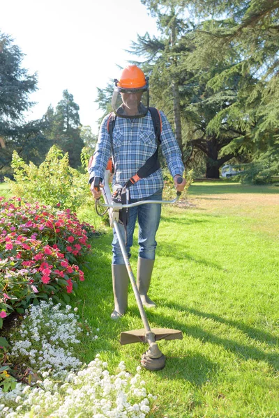 Hombre strimming y corte — Foto de Stock