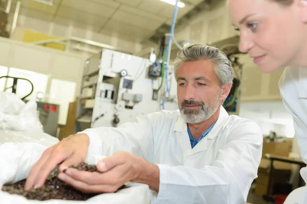 Mann schaufelt Kaffeekörner in die Hand, Frau schaut zu — Stockfoto