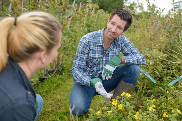 Homme montrant des plantes à la femme — Photo