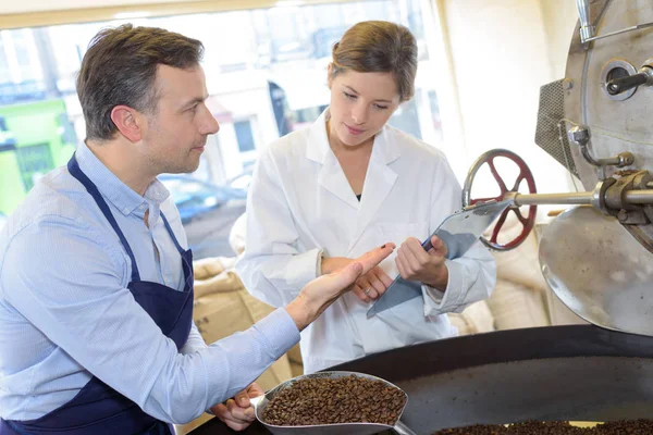Prueba de granos de café en el grado de tostado —  Fotos de Stock