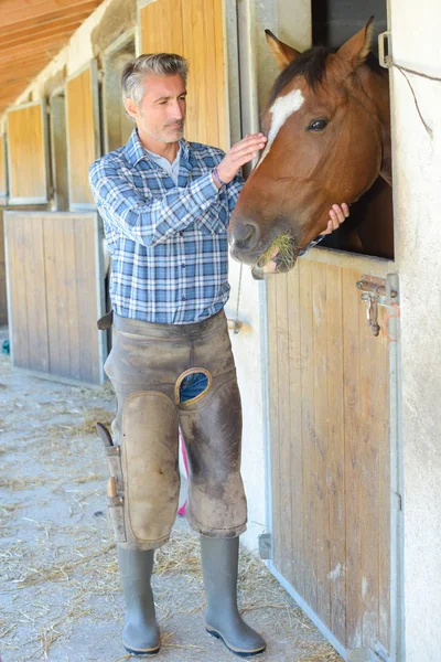 Farmer with horses and farmer — Stock Photo, Image