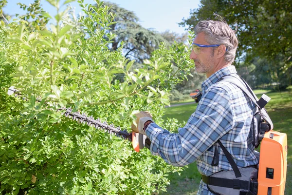 Trädgårdsmästare använder hedge cutter maskin — Stockfoto