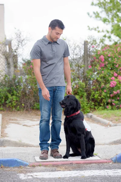 Человек выгуливает собаку и тренера — стоковое фото