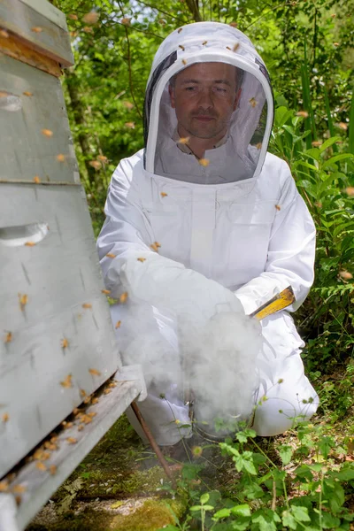 Die Bienen verräuchern und arbeiten — Stockfoto