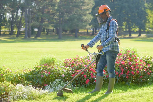 Trimmen van het gras en werk — Stockfoto