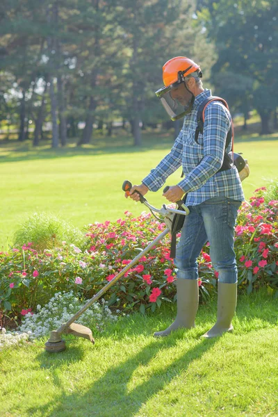 남자 strimming 잔디 및 strimmer — 스톡 사진