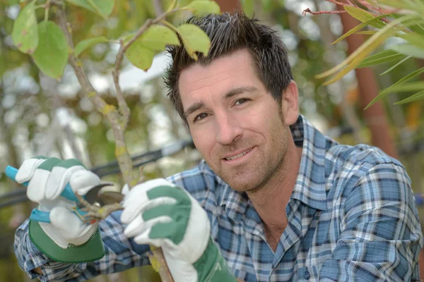 Tuinman snoeien bomen en tuin — Stockfoto