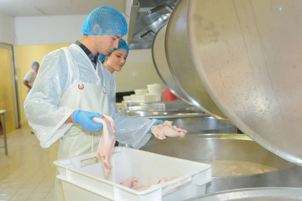 Εργοστάσιο γενεσιουργός ρίχνοντας τα κοτόπουλα στο ΦΠΑ — Φωτογραφία Αρχείου