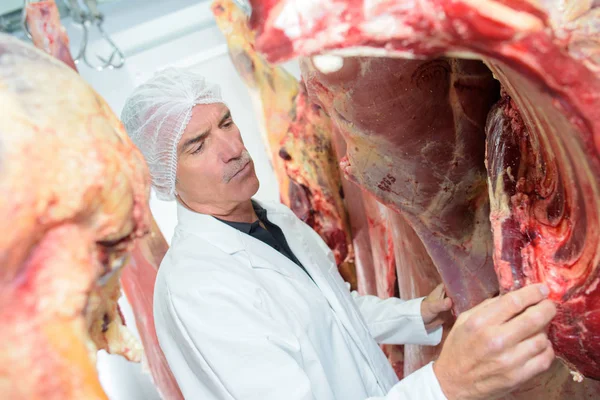 Açougueiro olhando costelas em carcaça de animais — Fotografia de Stock