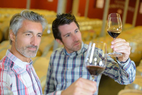 Männer begutachten Wein in ihren Gläsern — Stockfoto