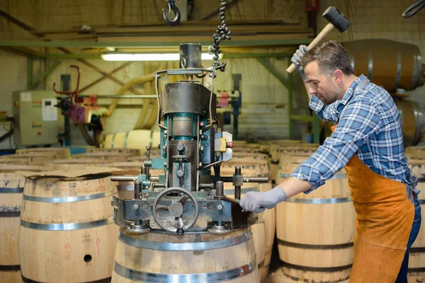 Cooper en el trabajo martilleo superior a barril de madera — Foto de Stock