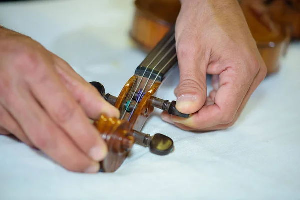 Hombre ajustando cuerdas en violín —  Fotos de Stock