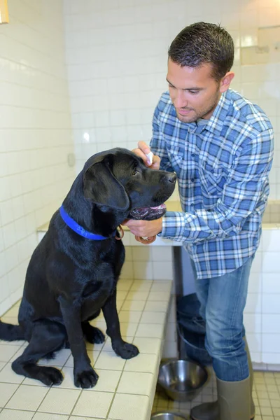 Adam banyo köpek s göz — Stok fotoğraf