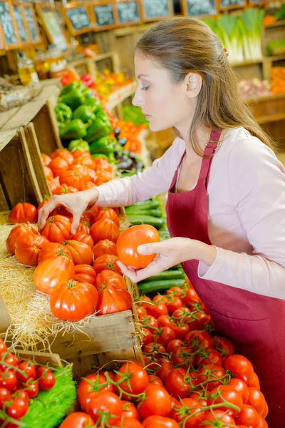 Sprawdzanie, pomidory i Kobieta — Zdjęcie stockowe