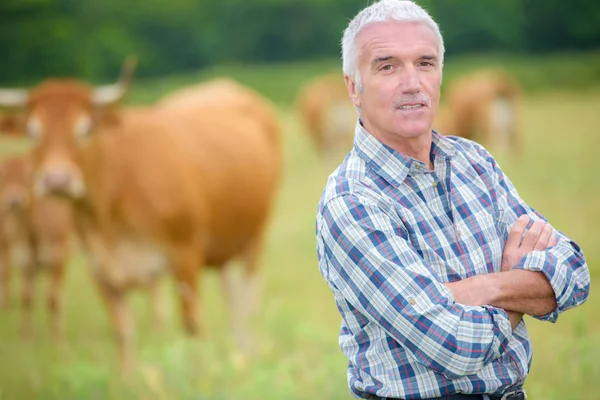 Agriculteur avec bétail et homme — Photo