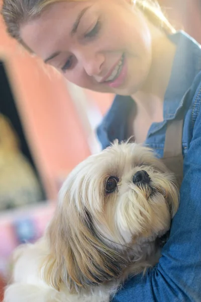 Abbracciare un cane e un veterinario — Foto Stock