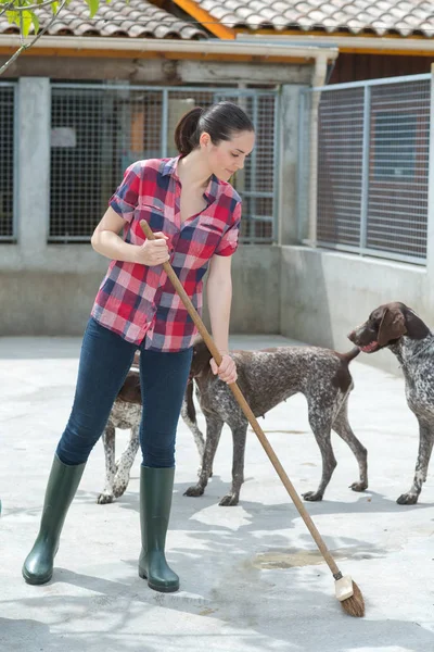 Rengöringstiden för kennel assistent — Stockfoto