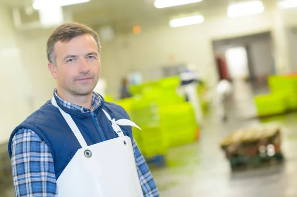 Portret van man in fabriek — Stockfoto