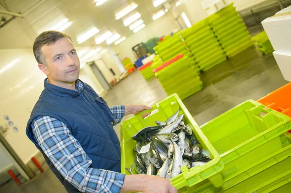 Arbeiter hält Behälter mit Fisch — Stockfoto