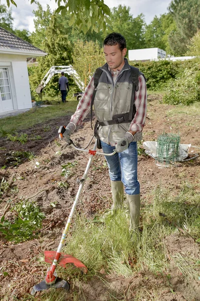 Trimmen het tuin gras — Stockfoto