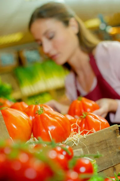 Assistente de loja ordenando tomates — Fotografia de Stock
