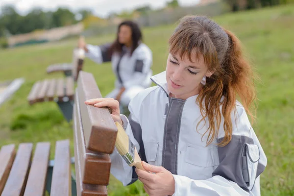 Women painting park benches — Stock Photo, Image