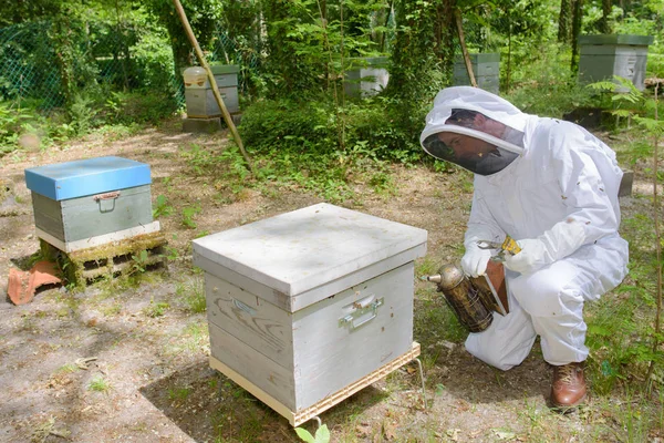 Térdelő mellett beehive ember — Stock Fotó