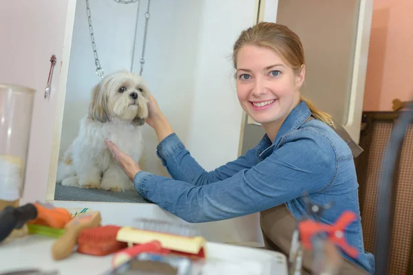 ペットのトリマーが犬と一緒にポーズ — ストック写真