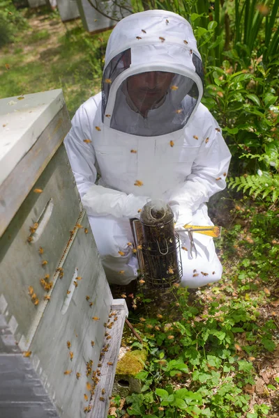 Μελισσοκόμος με μέλισσες γύρω από — Φωτογραφία Αρχείου