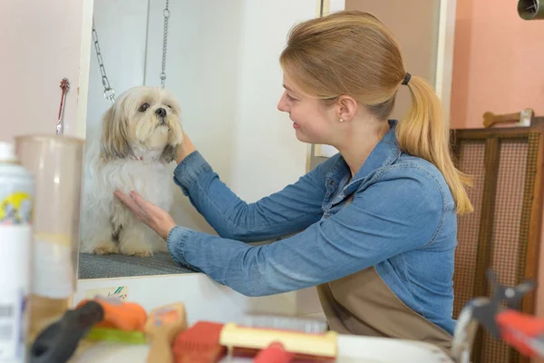 În salonul de animale de companie — Fotografie, imagine de stoc