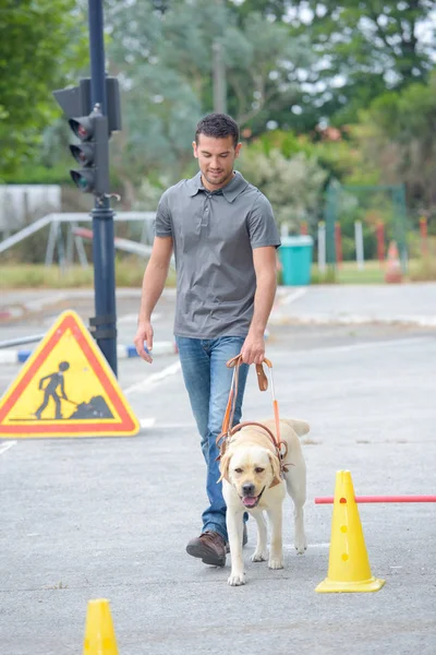 Mann geht Hund und Mann spazieren — Stockfoto