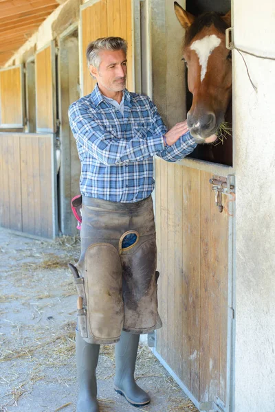 Farrier petting hest og farrier - Stock-foto