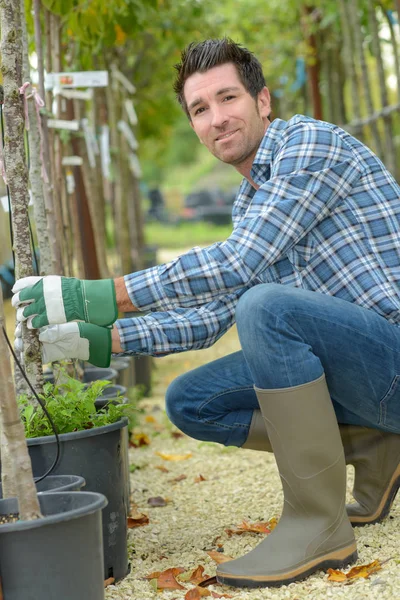 Retrato del jardinero cuidando árboles — Foto de Stock