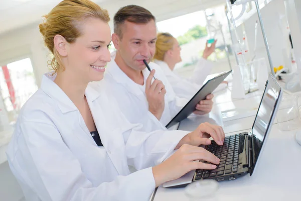 Colleghi di laboratorio che fanno ricerca — Foto Stock