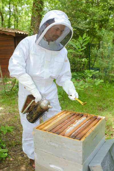 喫煙ハイブ養蜂家 — ストック写真