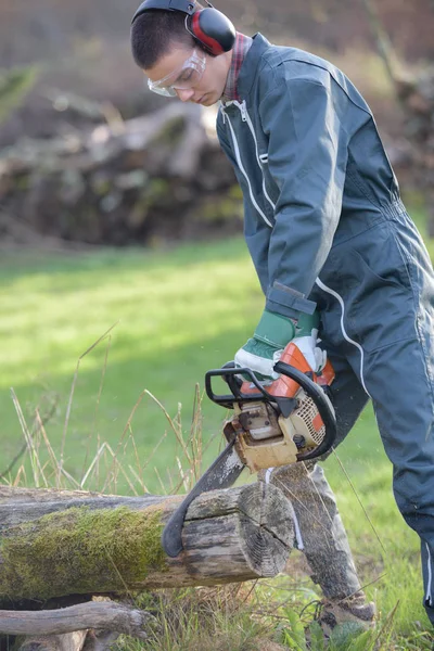 Mannen chainsawing genom trädstammen — Stockfoto